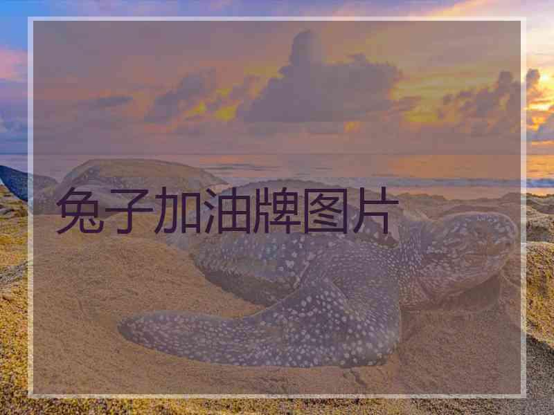 兔子加油牌图片