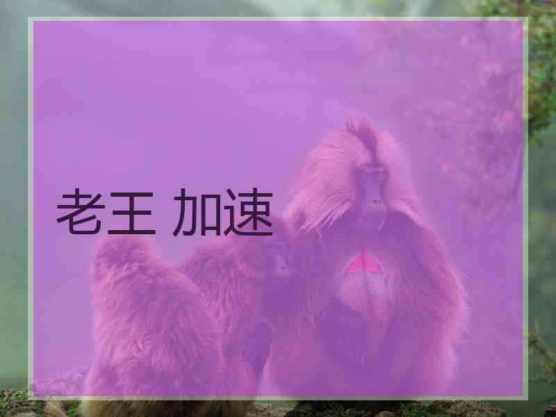 老王 加速