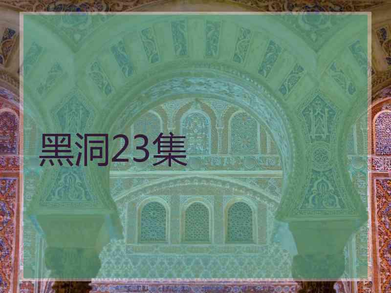 黑洞23集