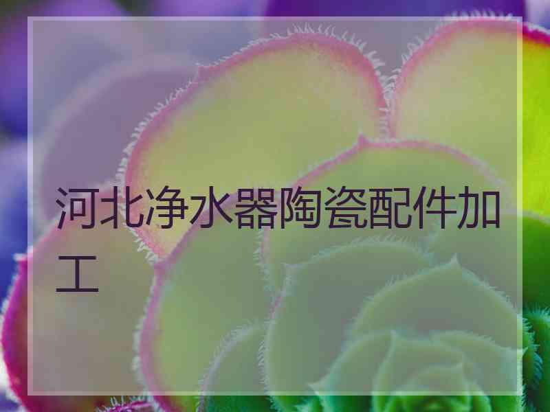 河北净水器陶瓷配件加工