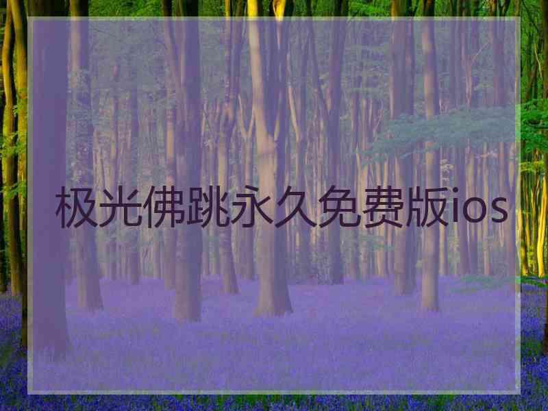 极光佛跳永久免费版ios