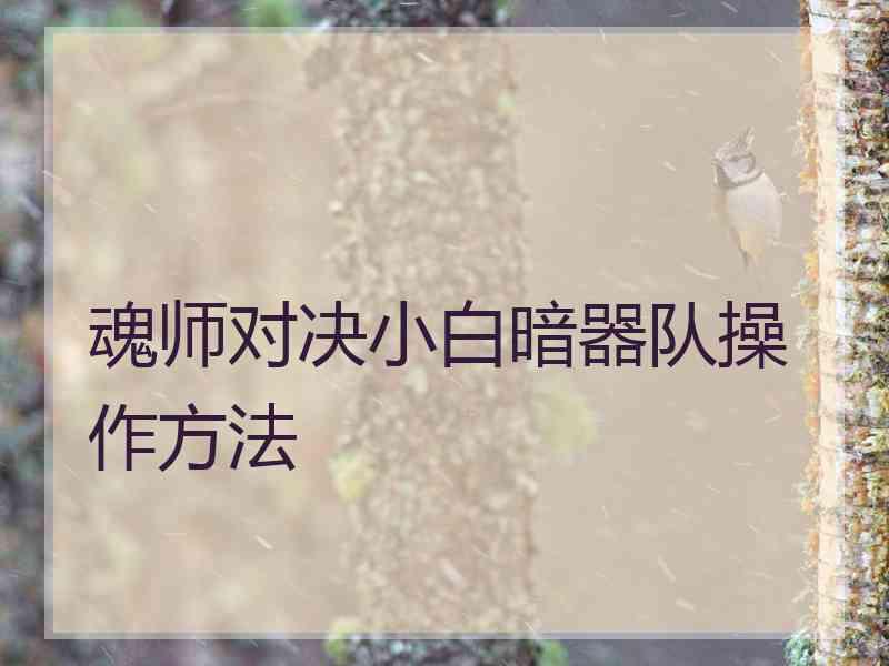 魂师对决小白暗器队操作方法