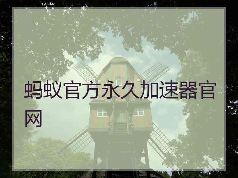 蚂蚁官方永久加速器官网