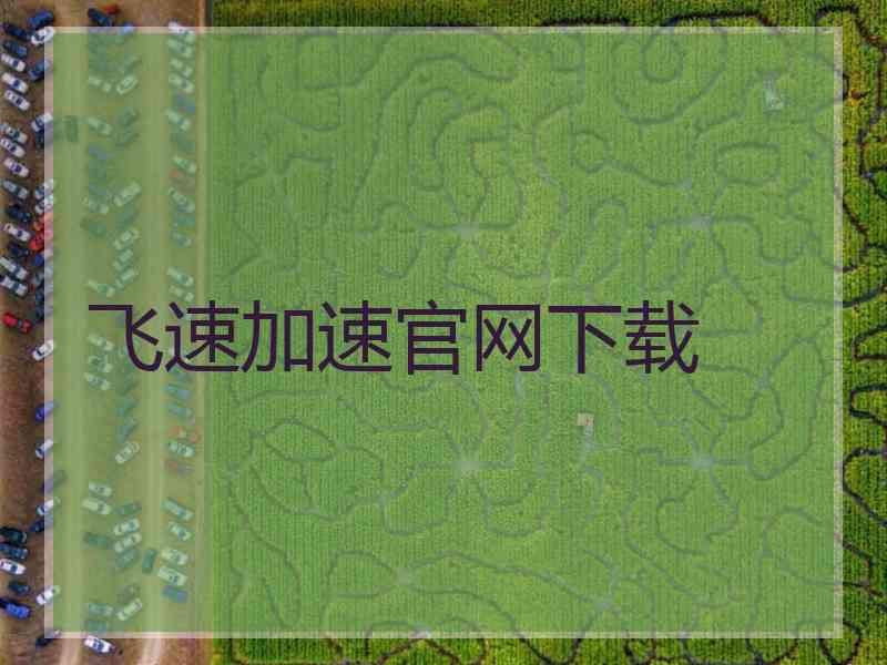 飞速加速官网下载
