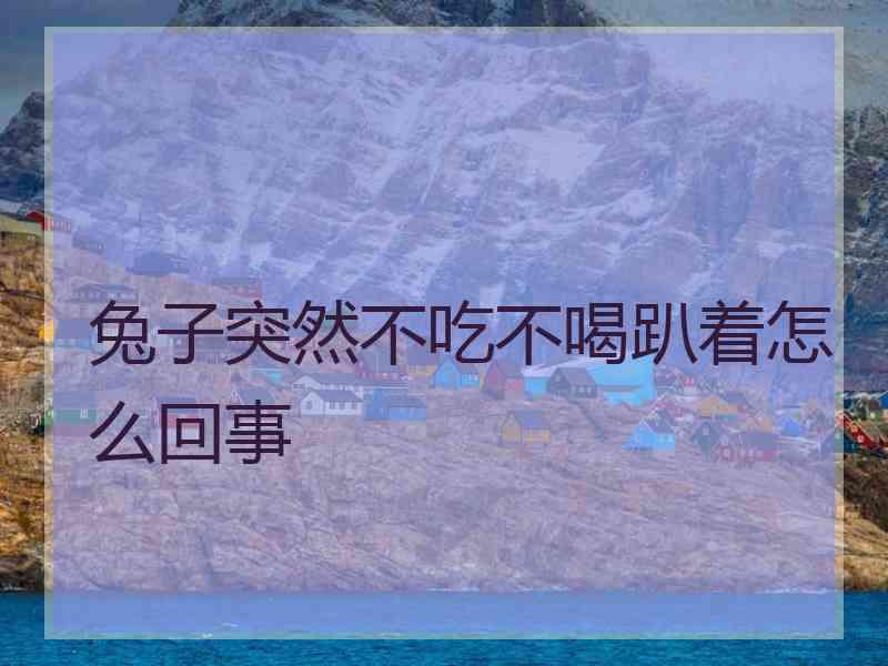 兔子突然不吃不喝趴着怎么回事