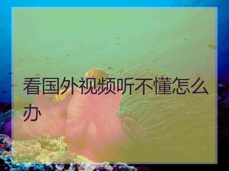 看国外视频听不懂怎么办