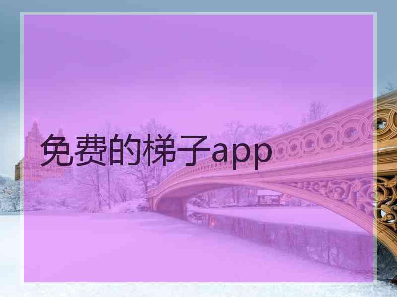 免费的梯子app