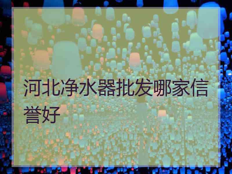 河北净水器批发哪家信誉好