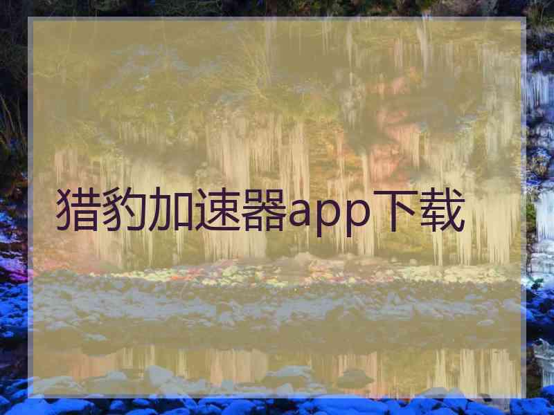 猎豹加速器app下载