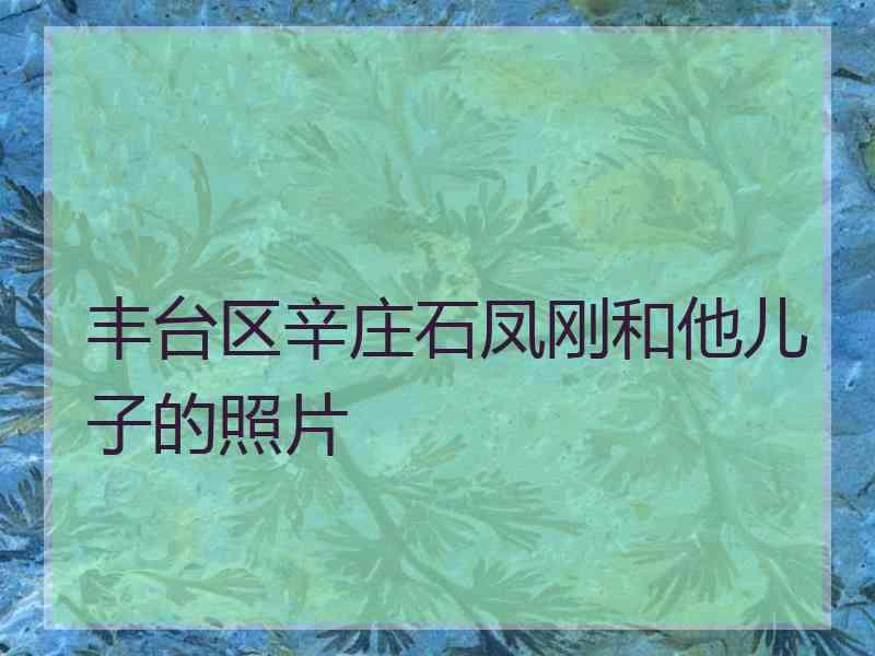 丰台区辛庄石凤刚和他儿子的照片
