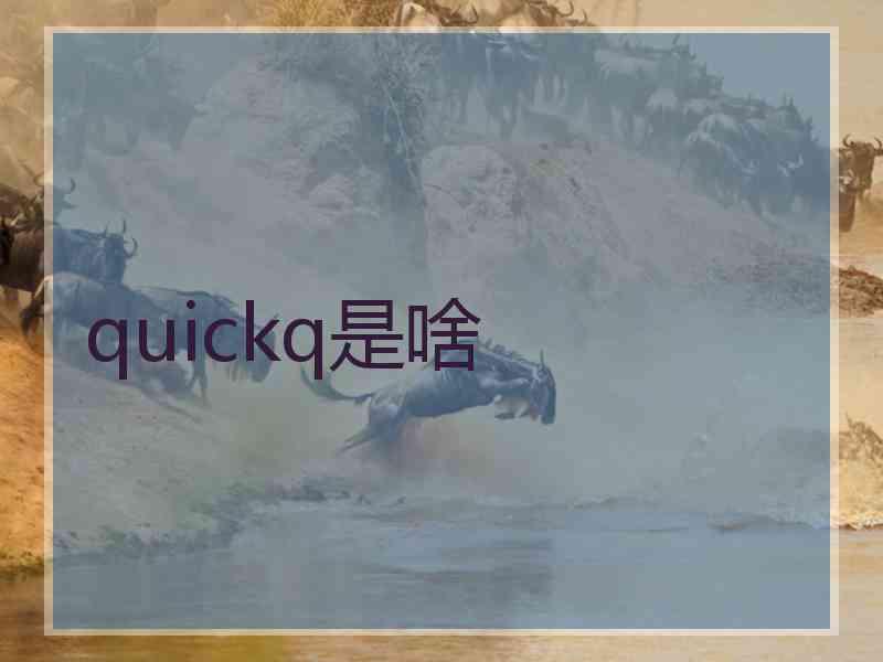 quickq是啥