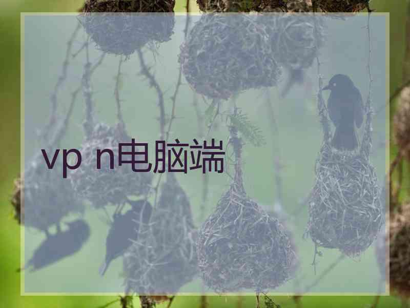 vp n电脑端