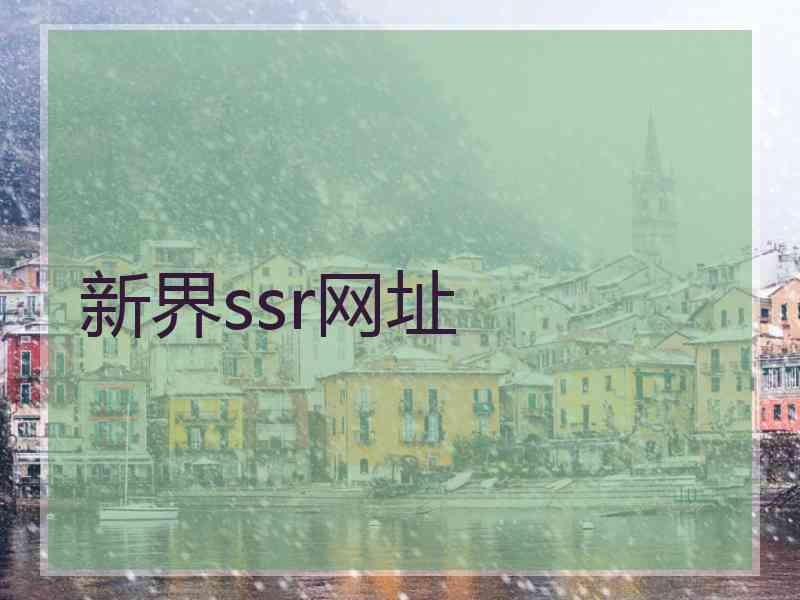 新界ssr网址