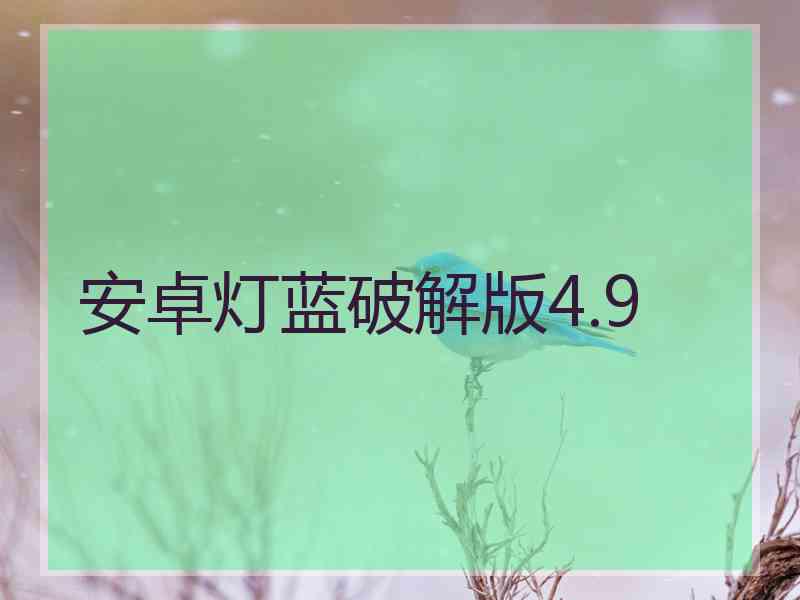 安卓灯蓝破解版4.9