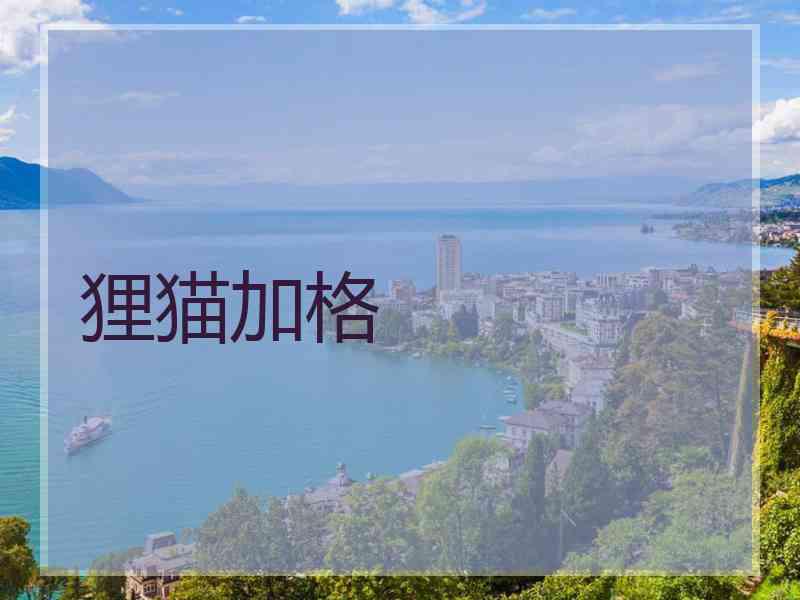 狸猫加格