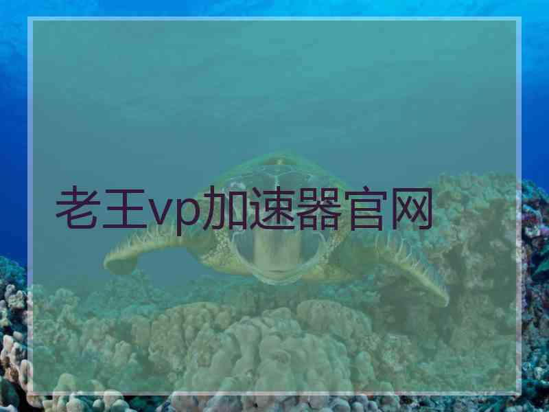 老王vp加速器官网