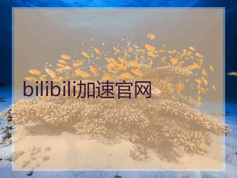 bilibili加速官网