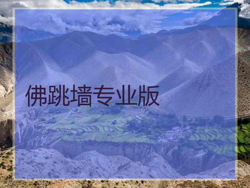 佛跳墙专业版