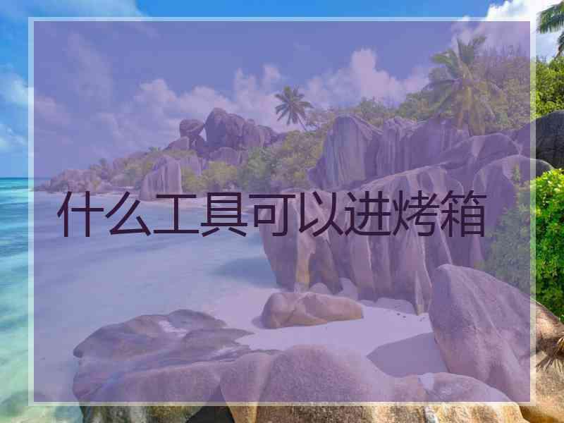 什么工具可以进烤箱