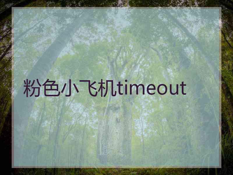 粉色小飞机timeout