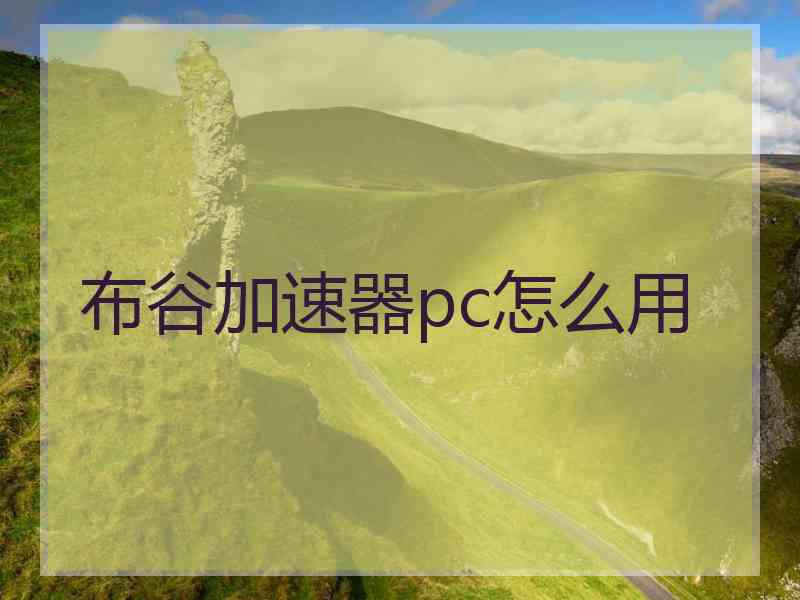 布谷加速器pc怎么用