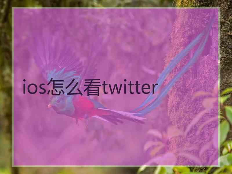 ios怎么看twitter