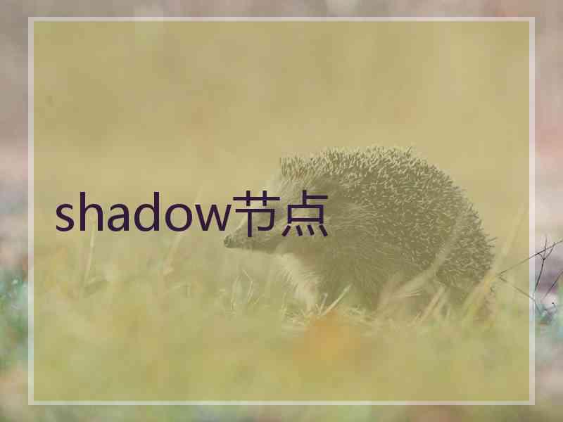 shadow节点