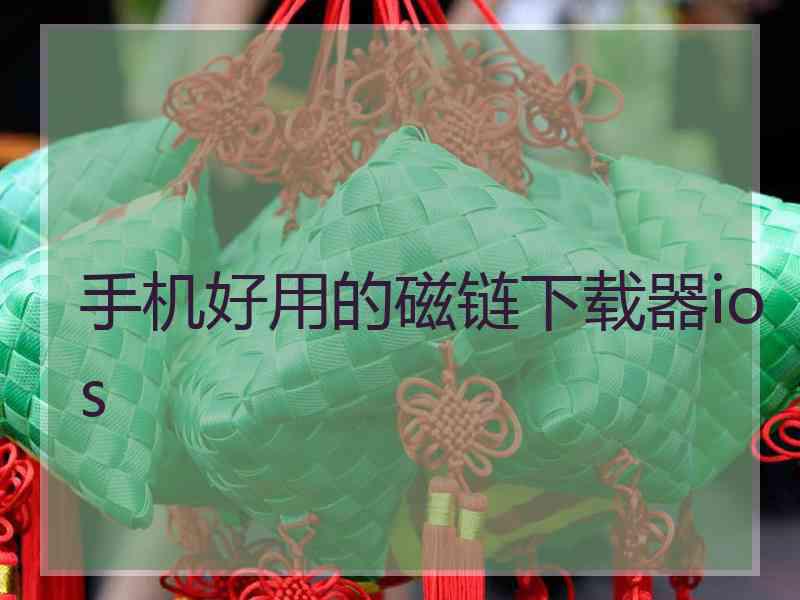 手机好用的磁链下载器ios