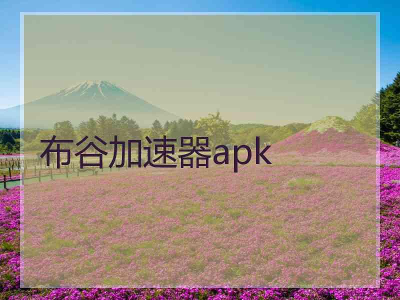 布谷加速器apk