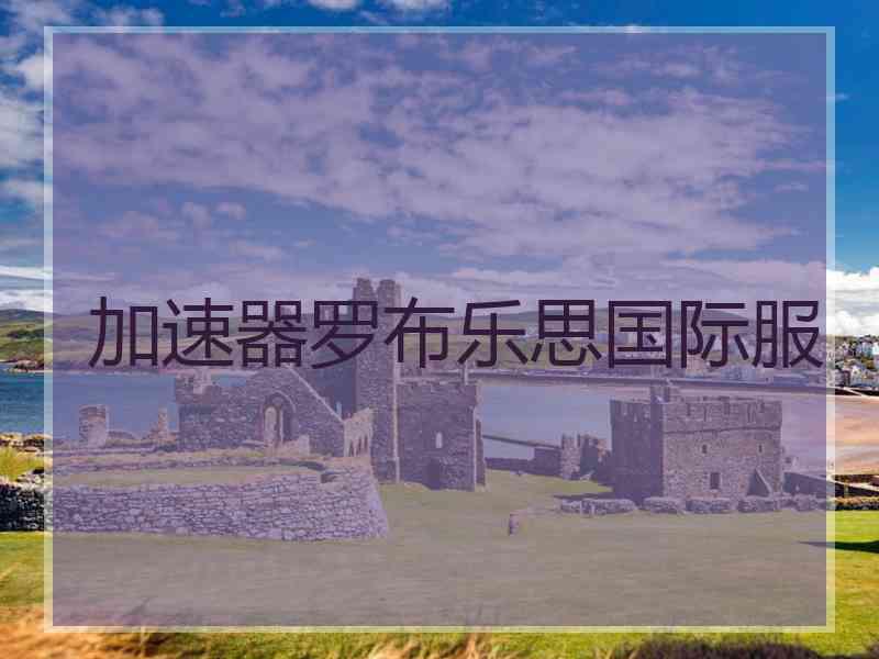 加速器罗布乐思国际服