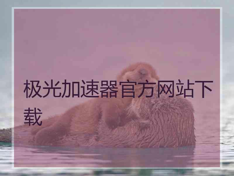 极光加速器官方网站下载