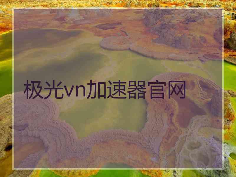 极光vn加速器官网