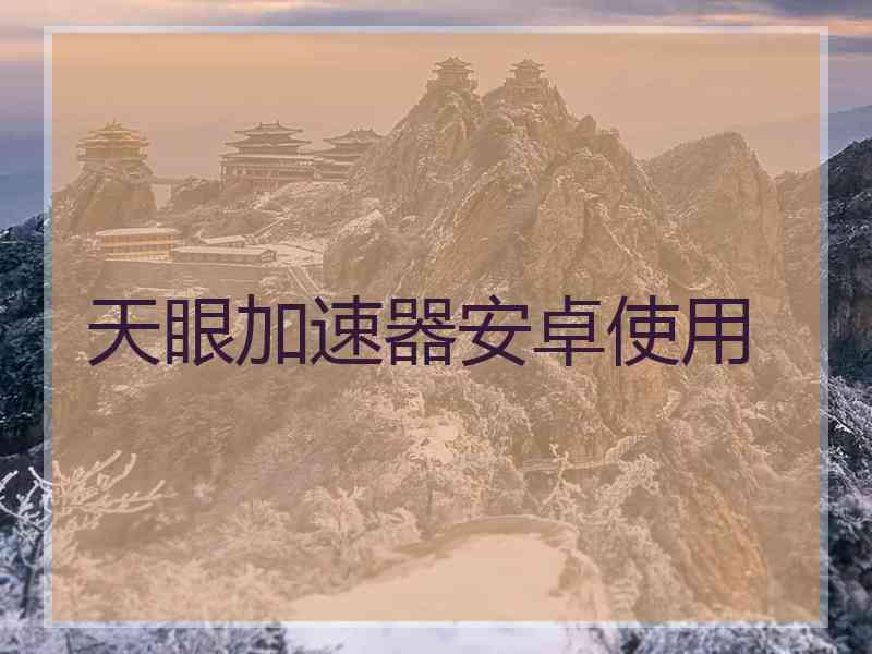天眼加速器安卓使用