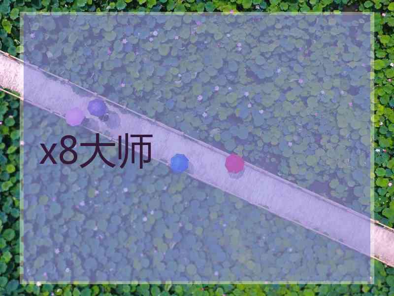 x8大师