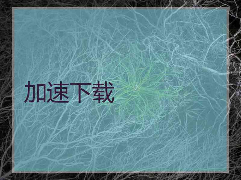 加速下载