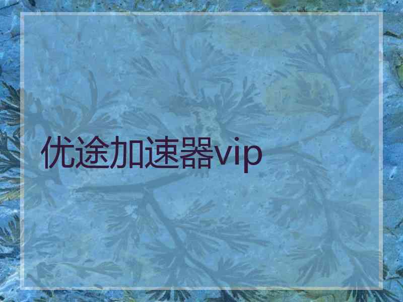 优途加速器vip