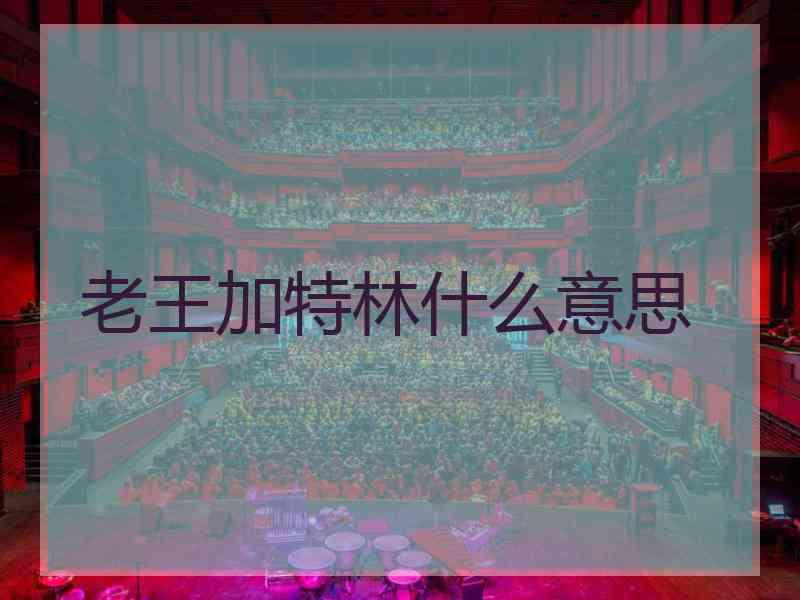 老王加特林什么意思