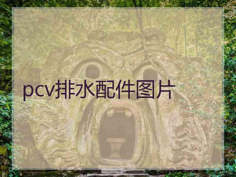 pcv排水配件图片