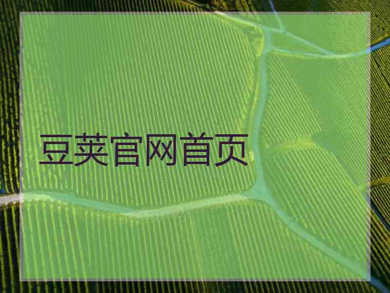 豆荚官网首页
