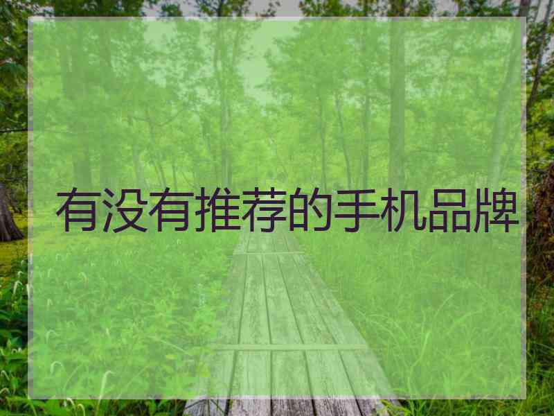 有没有推荐的手机品牌
