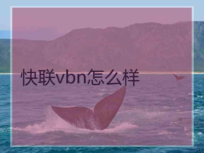 快联vbn怎么样