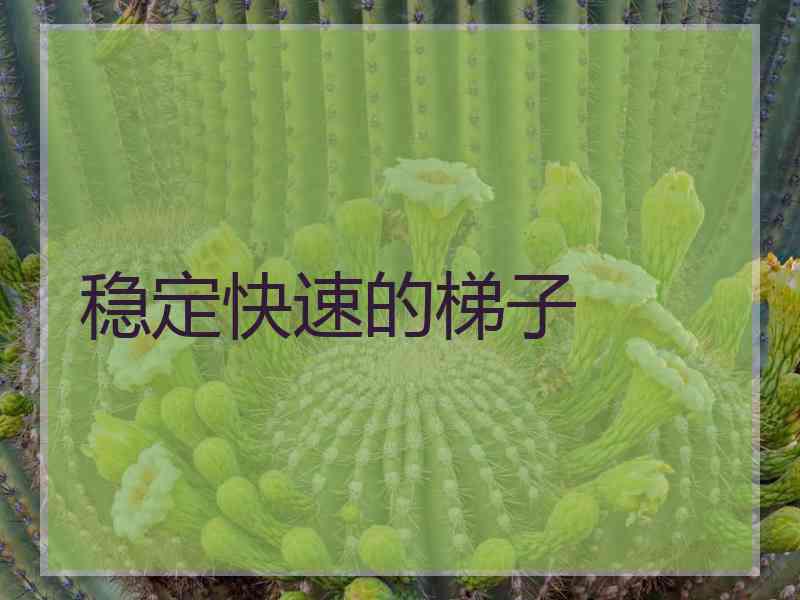 稳定快速的梯子