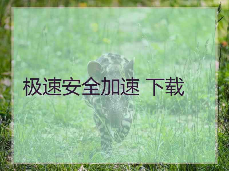 极速安全加速 下载