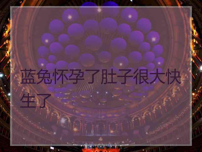 蓝兔怀孕了肚子很大快生了