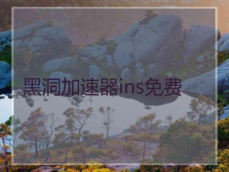 黑洞加速器ins免费