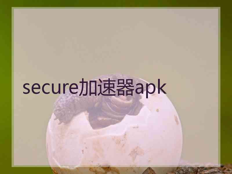 secure加速器apk