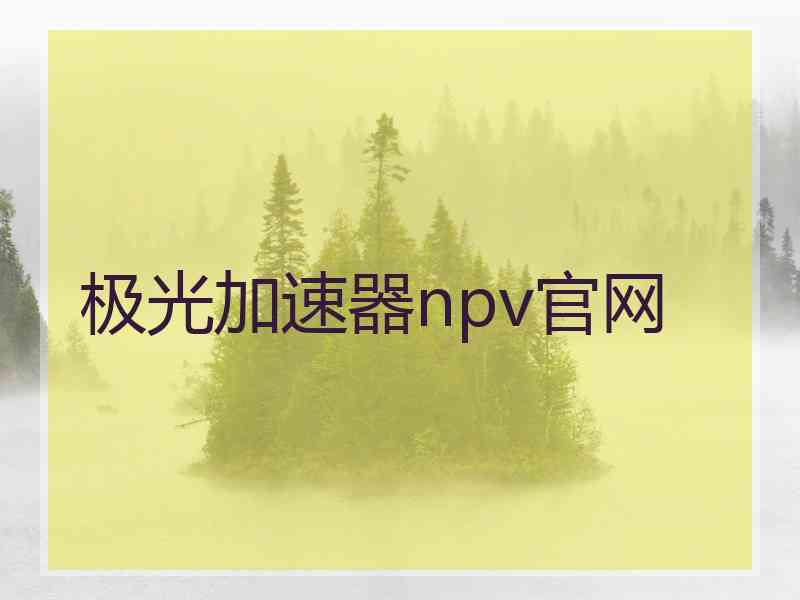 极光加速器npv官网