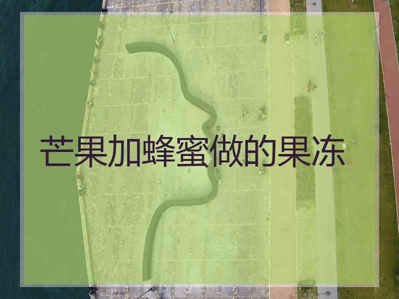芒果加蜂蜜做的果冻