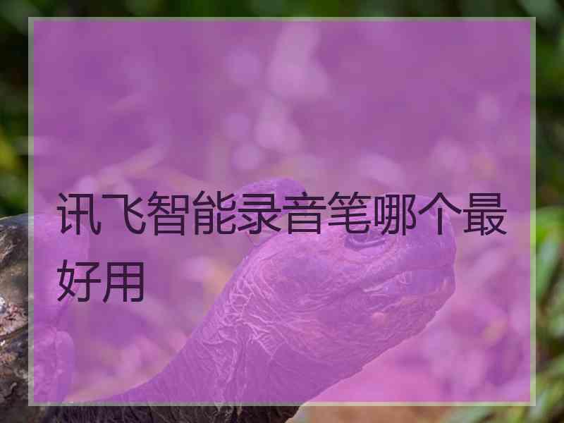 讯飞智能录音笔哪个最好用