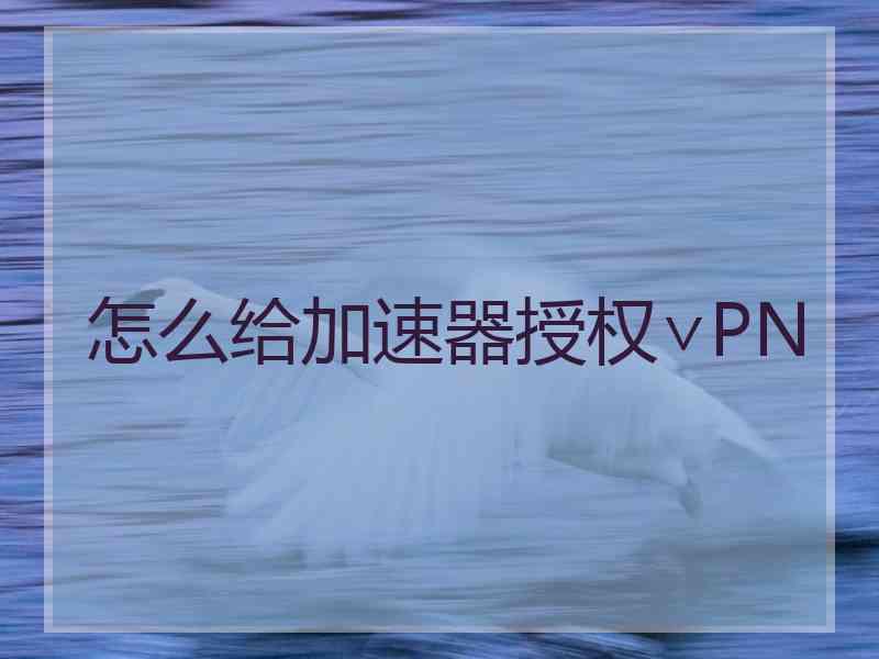 怎么给加速器授权∨PN